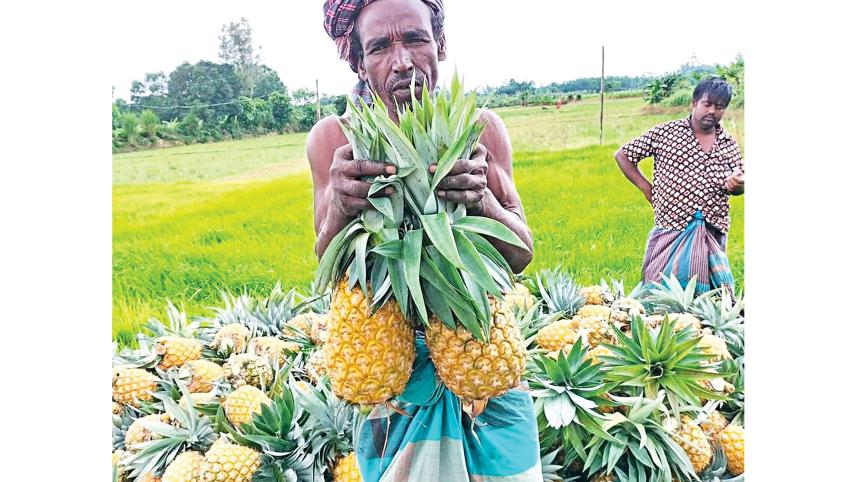 madhupur-upazila.jpg