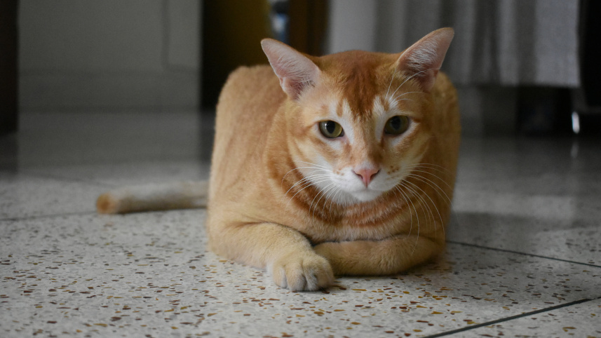 dsc_0195.jpg