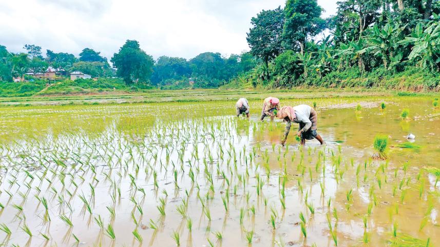 agricultural-extension.jpg