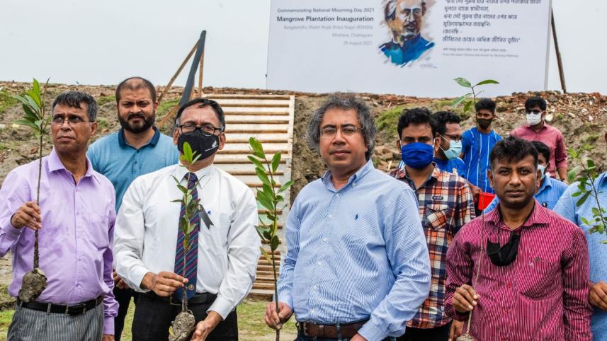 tree_plantation.jpeg