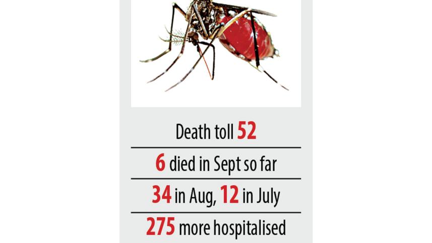 dengue.jpg