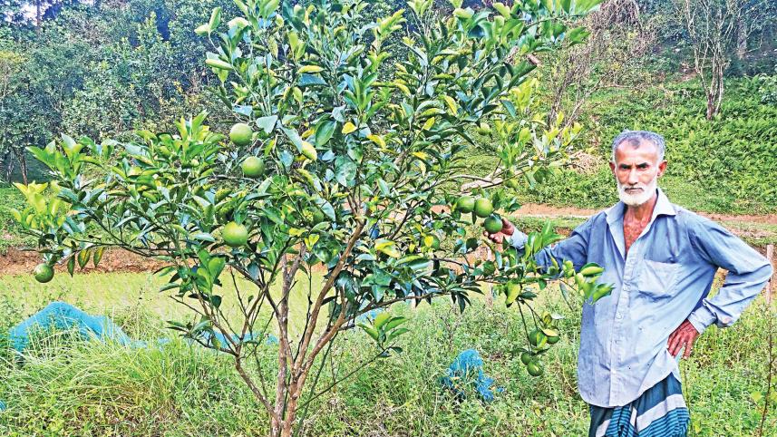 profitable-fruit.jpg
