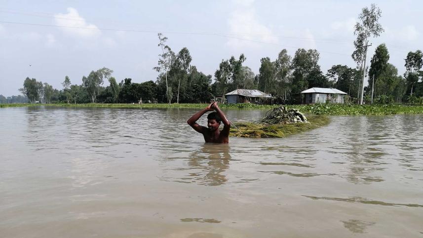 tackling-climate-emergency.jpg
