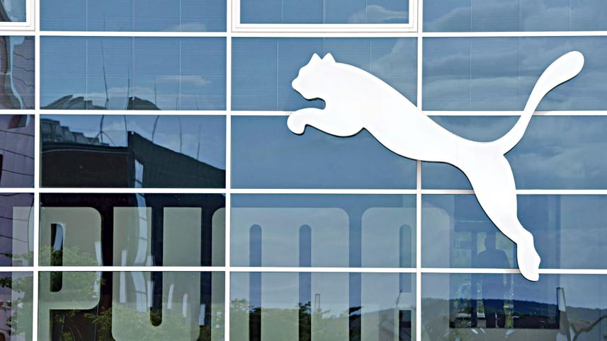 puma.jpg