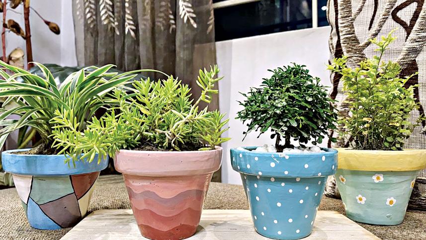 plants1.jpg