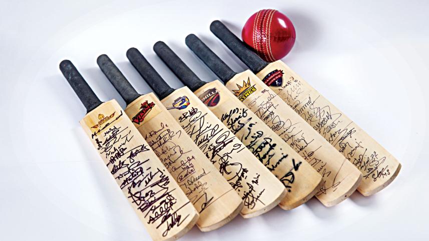 cricket6.jpg