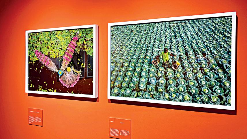 exhibition-2.jpg