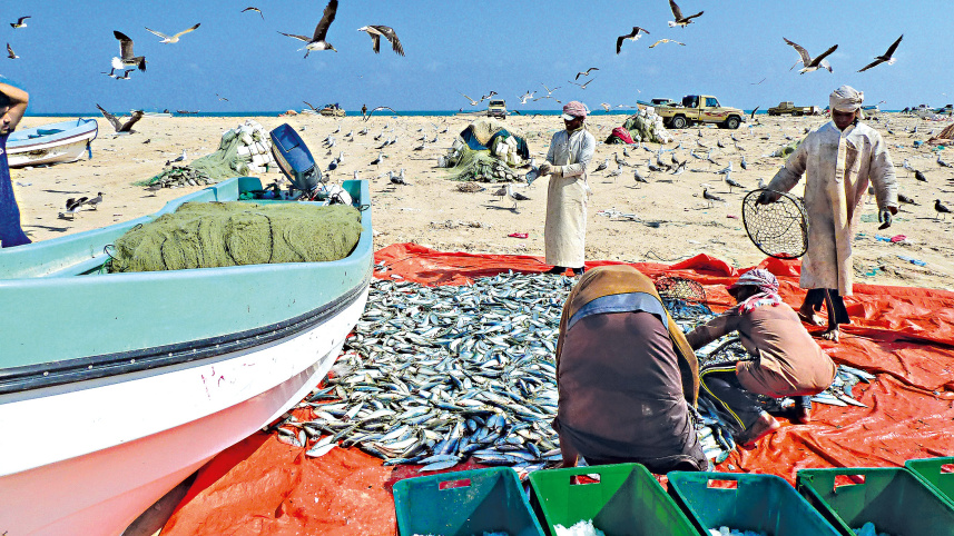 fisherman3.jpg