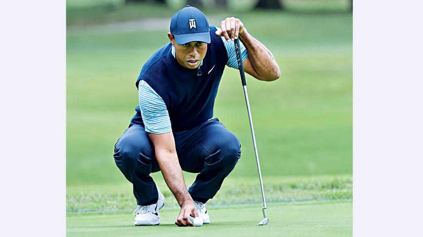 woods.jpg