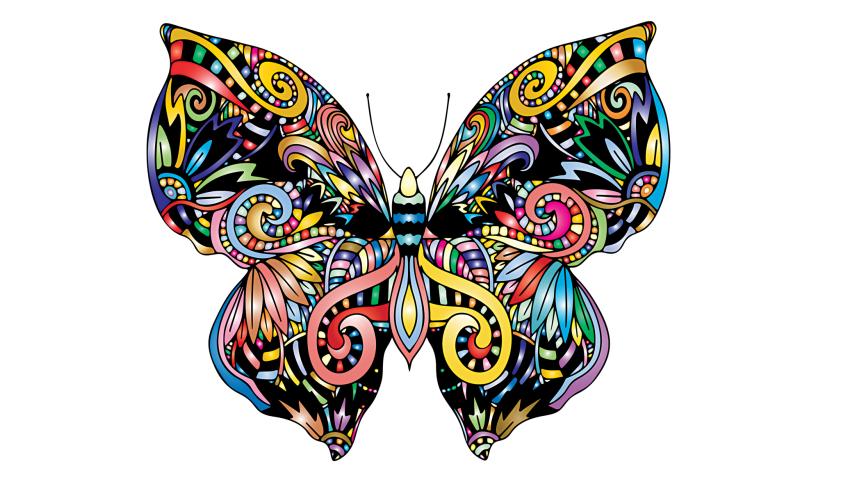 butterfly.jpg