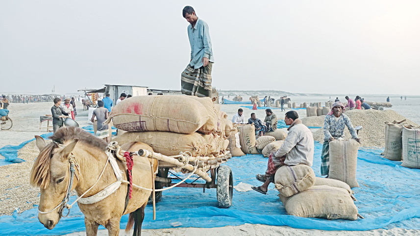 brahmaputra-river-2.jpg