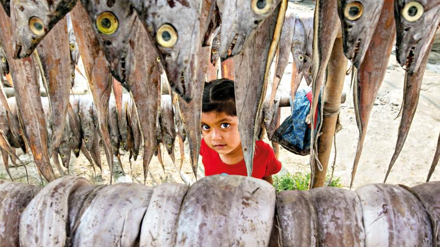 dry-fish3.jpg