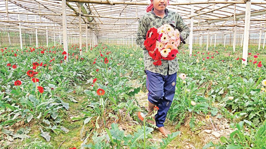 flower-growers-1.jpg