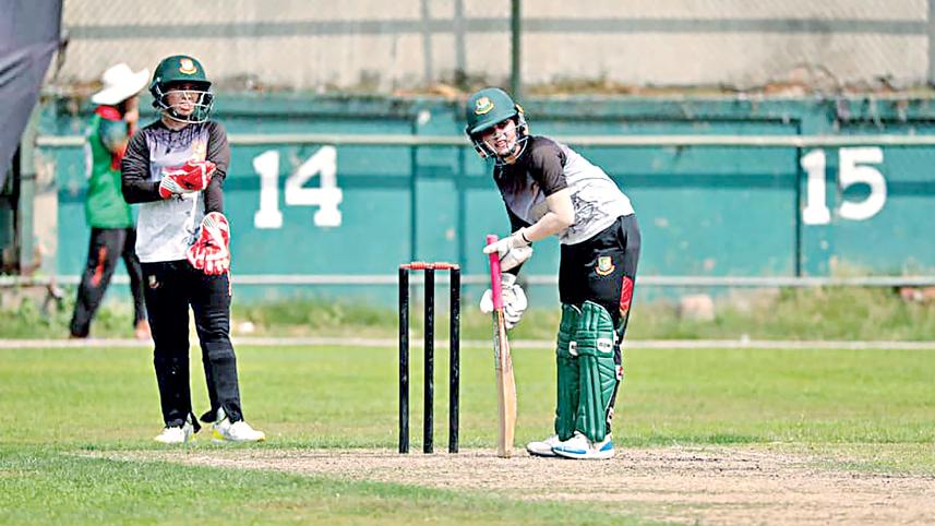 cricket1.jpg