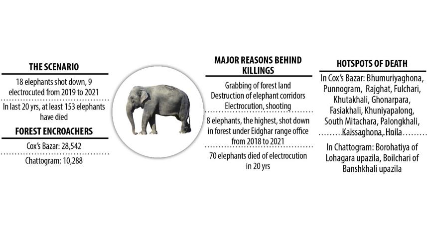 elephant-day-2.jpg