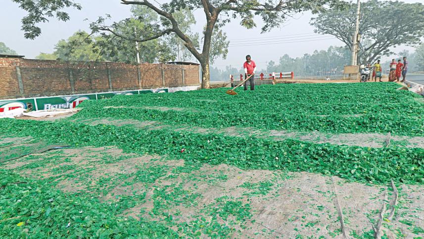 plastic-recycling-factory-1.jpg