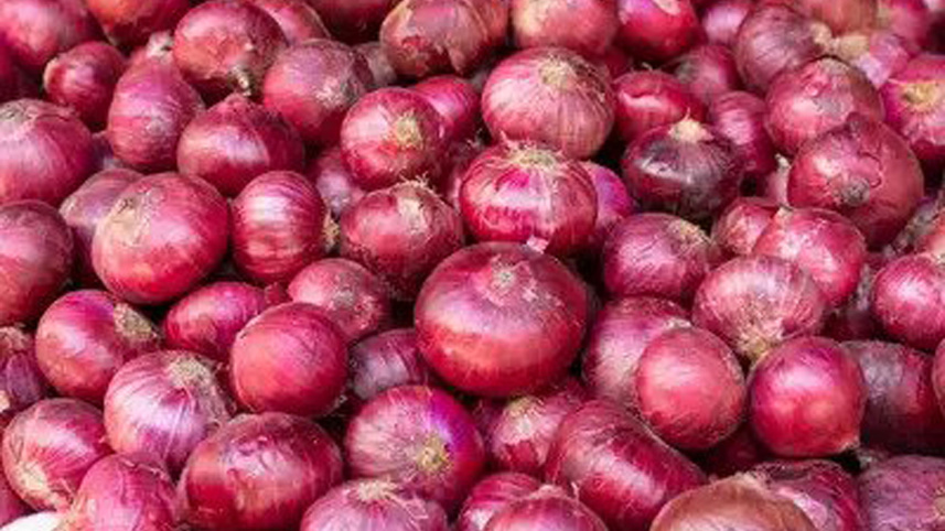 onion.jpg
