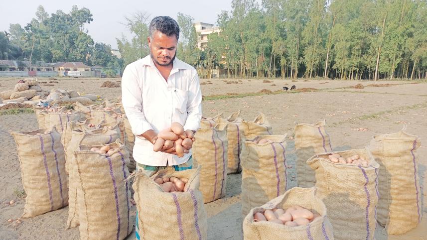 potato-farmers-1.jpg