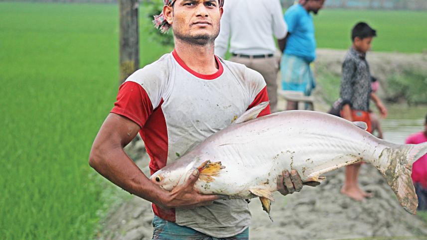trishal-upazila-1.jpg