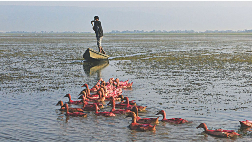 new-vision-tanguar-haor.jpg