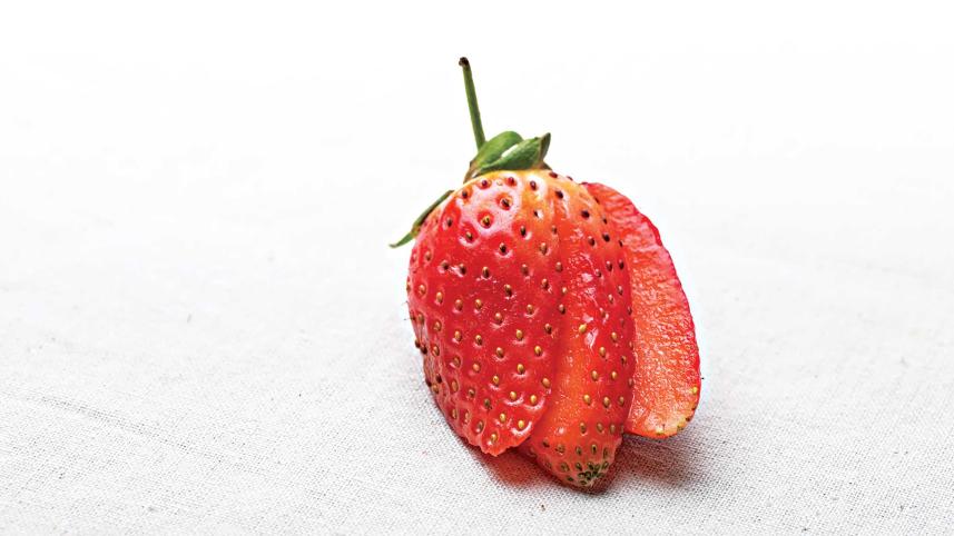 food12.jpg