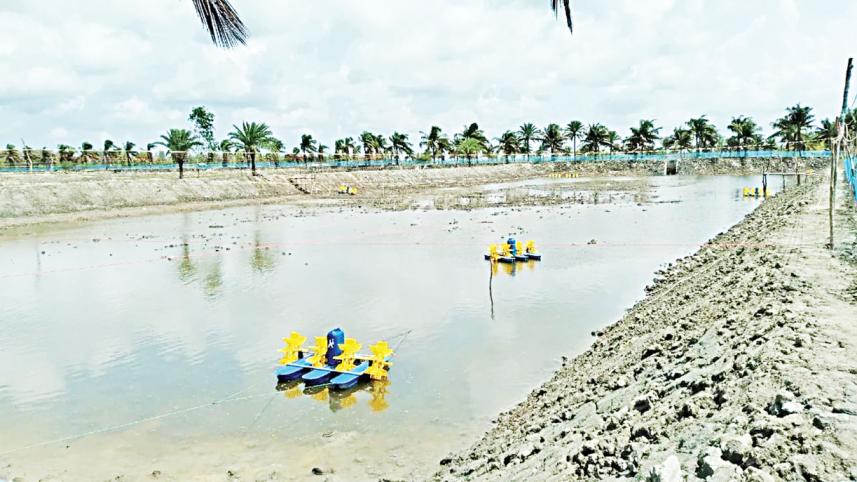 niribili-hatchery-1_0.jpg