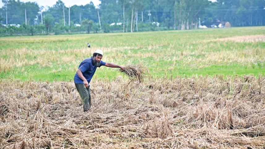 farmers-1.jpg