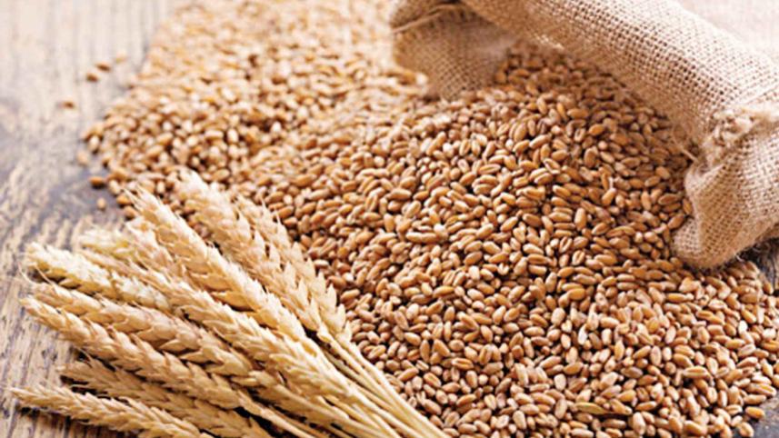 wheat_1.jpg