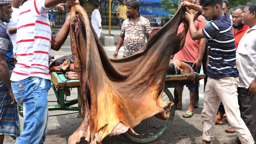 leather_industry_tipu_munshi.jpg