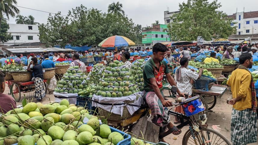 Finding quality mangoes in Dhaka