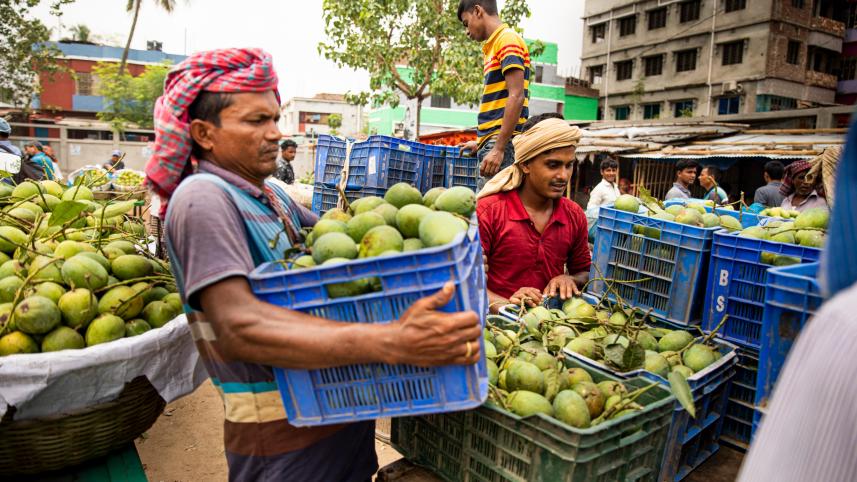 Finding quality mangoes in Dhaka