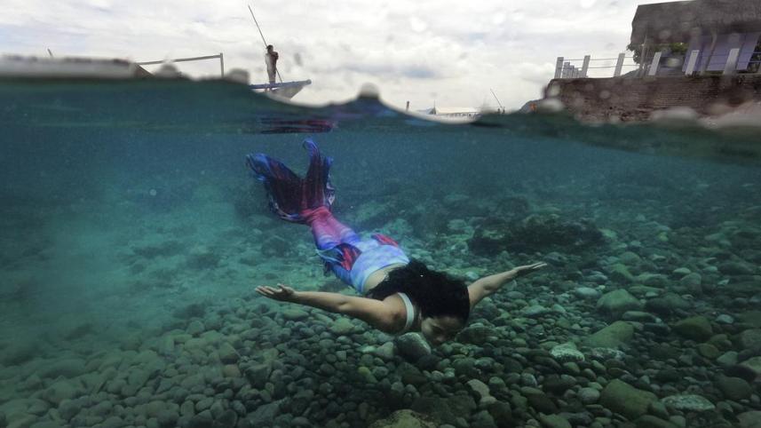 merm-2.jpeg