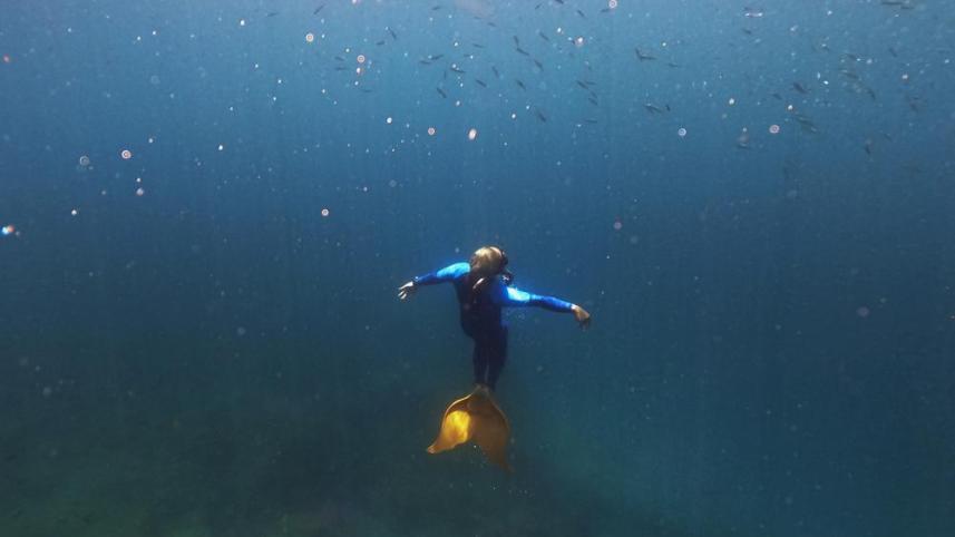 merm-3.jpeg