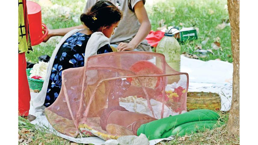 dengue-outbreak.jpg