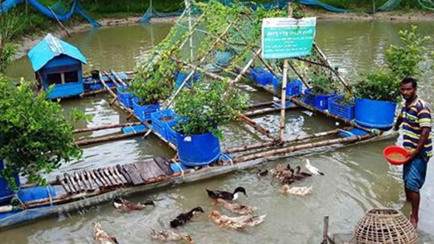 nature-based-solutions.jpg