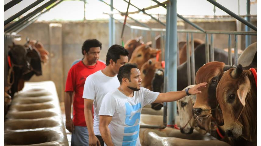 bachelors_qurbani.jpg