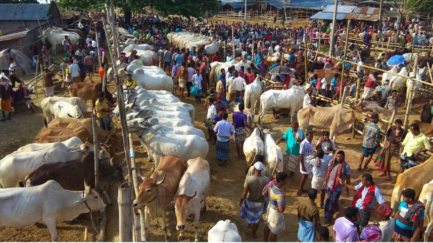 a_cattle_market_1.jpg