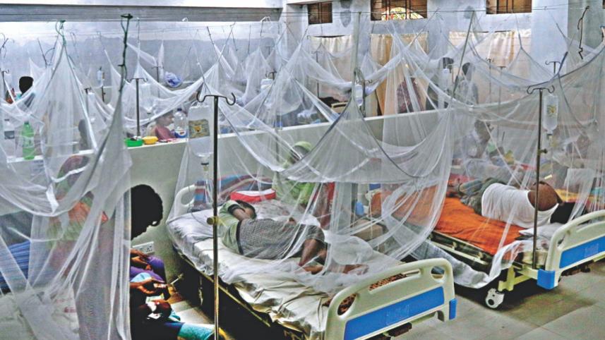 dengue test