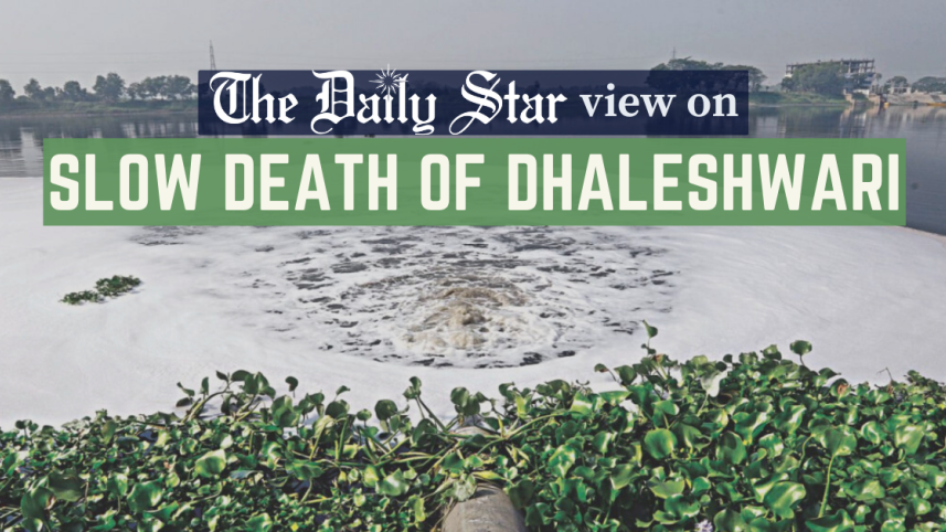 dhaleshwari.png