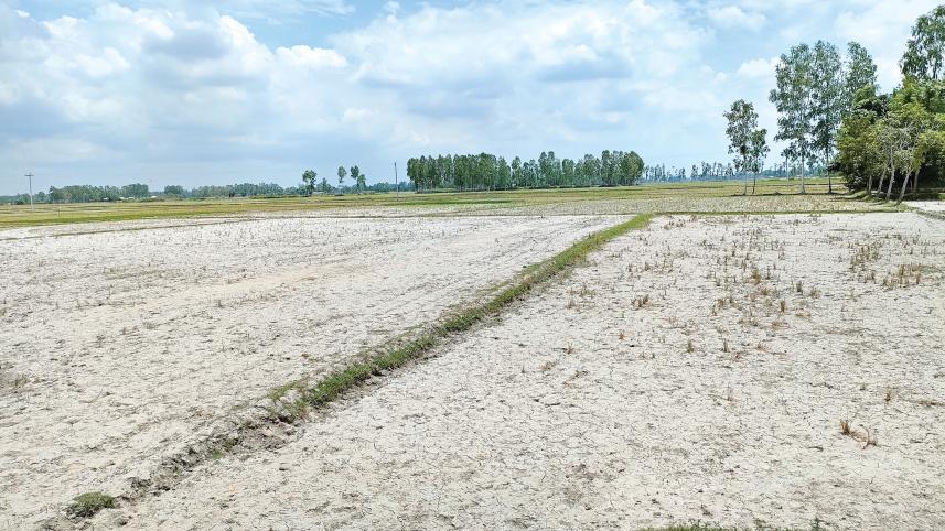 agricultural-land-2.jpg