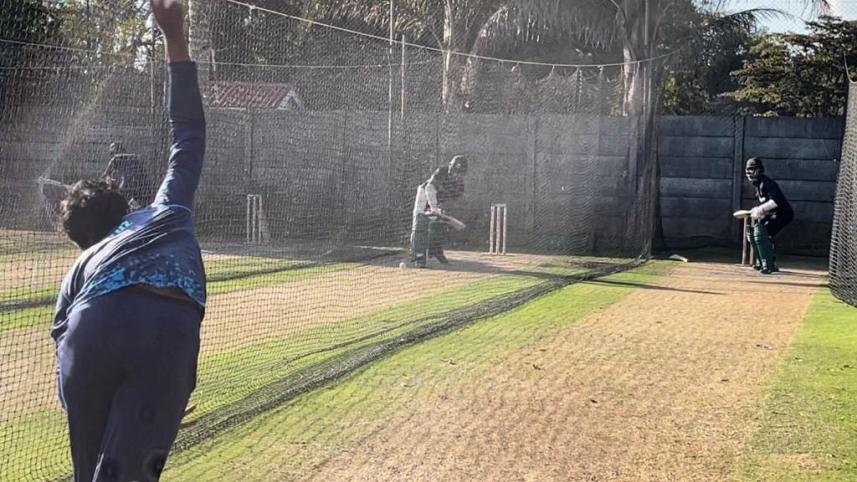 tigers_zim_practice.jpg