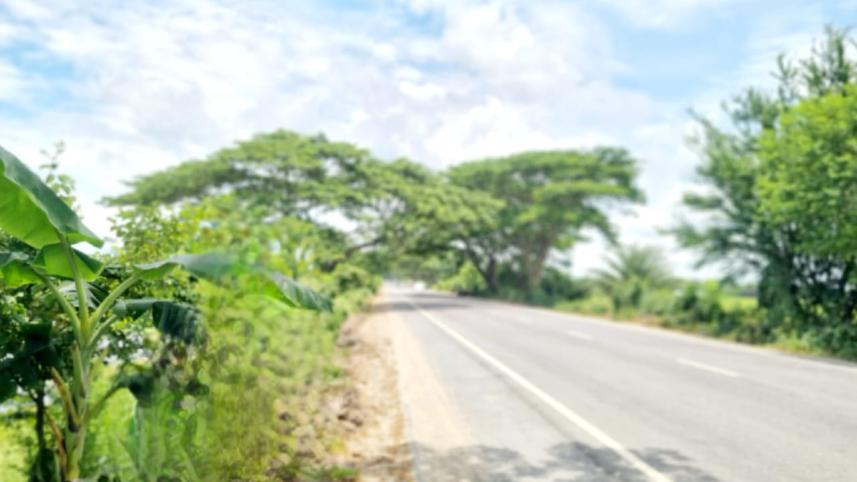Bhanga-Jashore-Benapole Highway