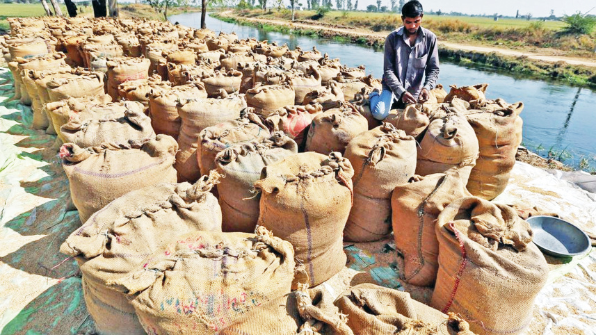 sack-of-rice.jpg
