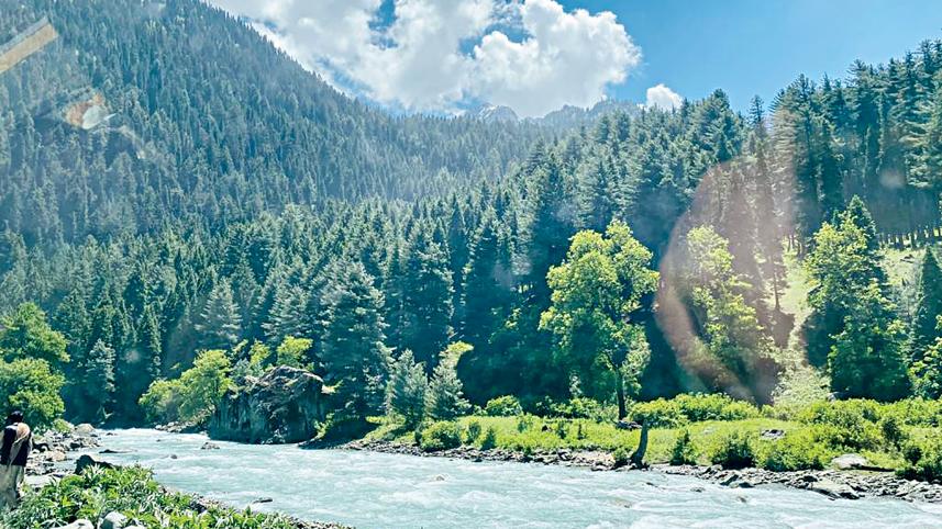 kashmir3.jpg
