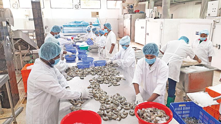 shrimp-exports-1.jpg