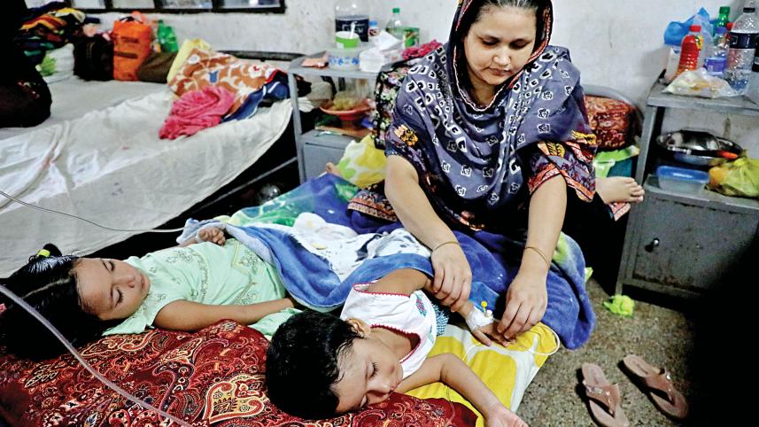 dengue.jpg