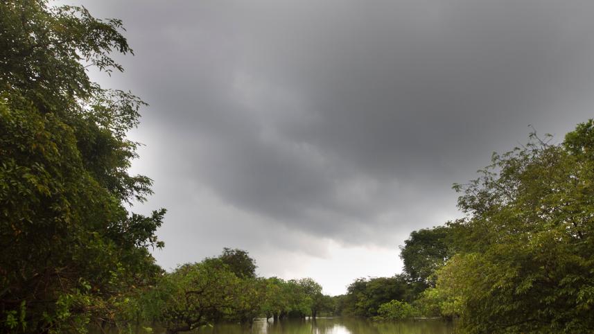 Ratargul sylhet 