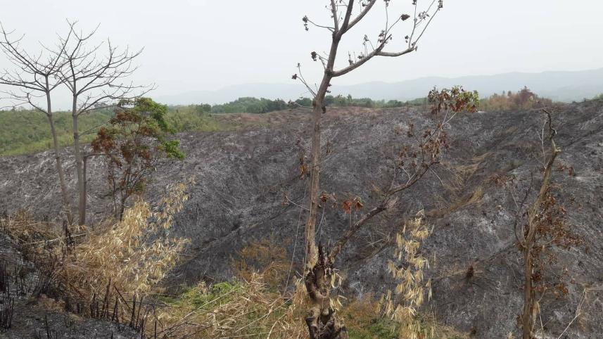 op_1_body_-_burnt_jhum_land_in_lama_-_collected.jpeg