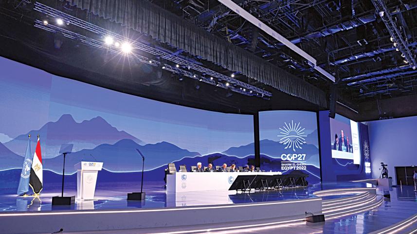 cop27.jpg
