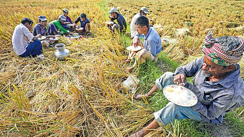 gumai-beel-4_0.jpg